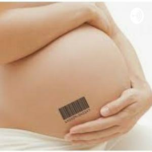 Los Desafíos Jurídicos De La Maternidad Subrogada