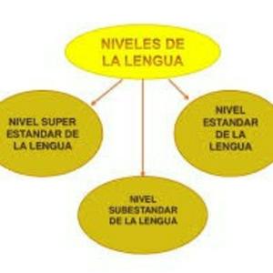 Los Niveles De La Lengua