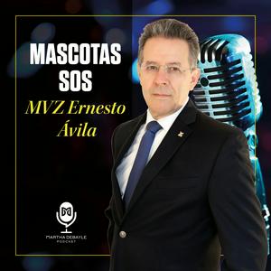 Escucha Mascotas SOS con MVZ Ernesto Ávila en la aplicación