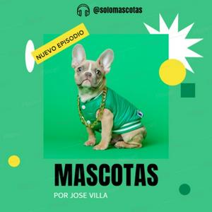 Mascotas