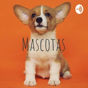 Mascotas