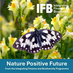 Nature Positive Future