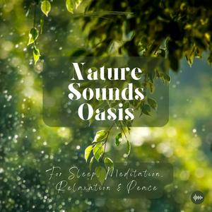 Escucha Nature Sounds Oasis | Relaxing Nature Sounds For Sleep, Meditation, Relaxation Or Focus | Sounds Of Nature | Sleep Sounds, Sleep Music, Meditation Sounds, Ocean Waves, Rain, White Noise & More en la aplicación