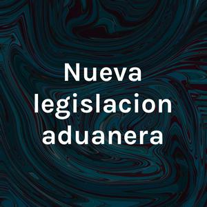 Nueva legislacion aduanera