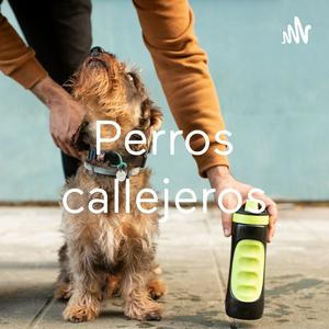 Perros callejeros
