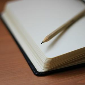 Profesorado en enseñanza media especializado en inglés