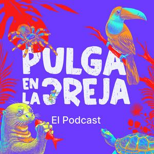 Escucha Pulga en la Oreja en la aplicación