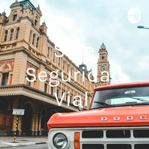 S De Seguridad Vial