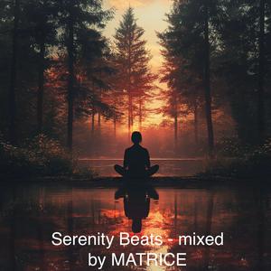 Escucha Serenity Beats - by Matrice en la aplicación