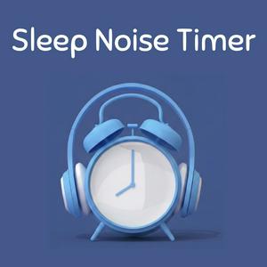 Sleep Noise Timer