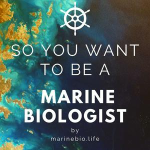 Escucha So You Want to Be a Marine Biologist en la aplicación