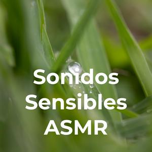 Sonidos Sensibles ASMR