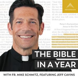 Escucha The Bible in a Year (with Fr. Mike Schmitz) en la aplicación