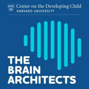 Escucha The Brain Architects en la aplicación