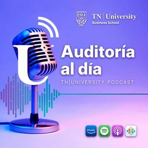 AUDITORÍA AL DÍA