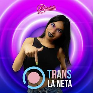 Trans la neta