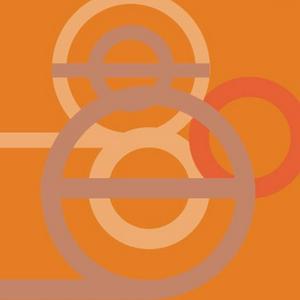 Transformative leadership in polycrisis