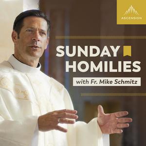 Escucha Sunday Homilies with Fr. Mike Schmitz en la aplicación