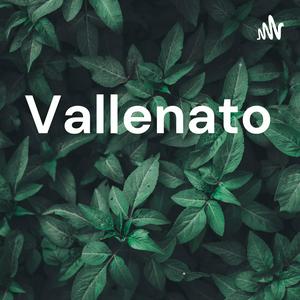 Escucha Vallenato en la aplicación