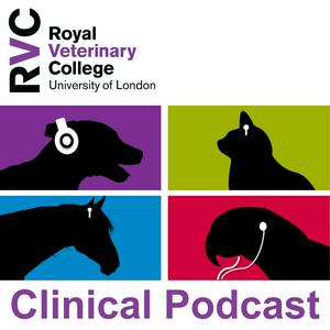 Escucha Veterinary Clinical Podcasts en la aplicación