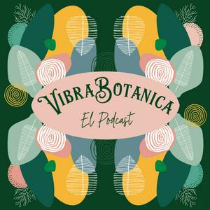 Bruja Holistica