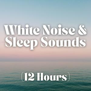 Escucha White Noise and Sleep Sounds (12 Hours) en la aplicación